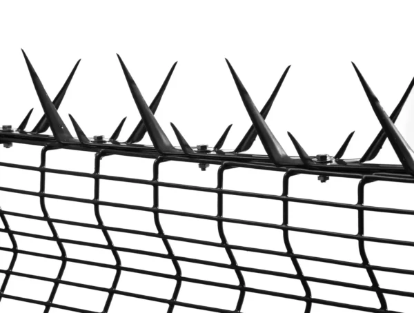 Black plascoat vista mesh clear view mesh fence 7612 aperture, with sabre spike, razor spike